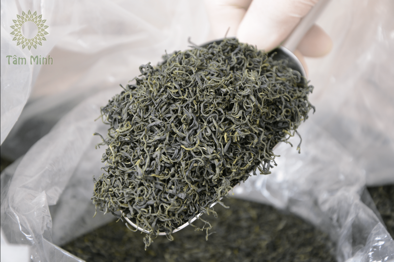 bup-tra-tom-non-thai-nguyen-dac-san