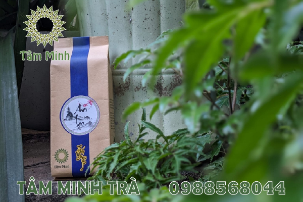 CHÈ ĐẶC SẢN THÁI NGUYÊN LÀ MÓN QUÀ TẶNG THIẾT THỰC