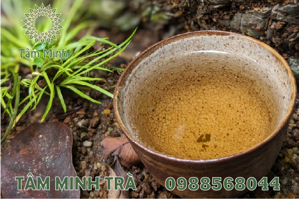 ĐẶC SẢN CHÈ THÁI NGUYÊN MUA TẠI TÂM MINH TRÀ