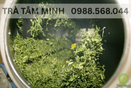 QUY TRÌNH CHẾ BIẾN TRÀ THÁI NGUYÊN TÂM MINH - TỪ BÚP TRÀ TƯƠI ĐẾN LY TRÀ THƠM NGÁT