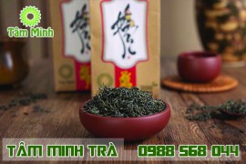 GIÁ TRÀ XANH ĐẶC SẢN THÁI NGUYÊN