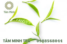 TRÀ BẮC THÁI NGUYÊN NGON NHẤT SẼ NHƯ THẾ NÀO?