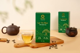 Sắc Xanh Vàng Của Trà – Vẻ Đẹp Bình Yên Trong Một Chén Trà Shan Tuyết