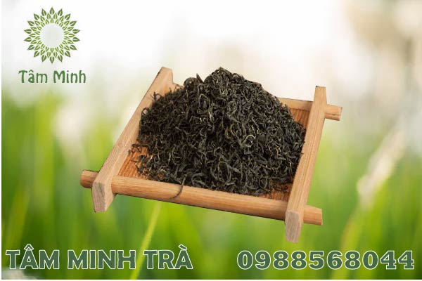 TRÀ XANH THÁI NGUYÊN VÀ THÚ VUI THƯỞNG TRÀ HIỆN NAY