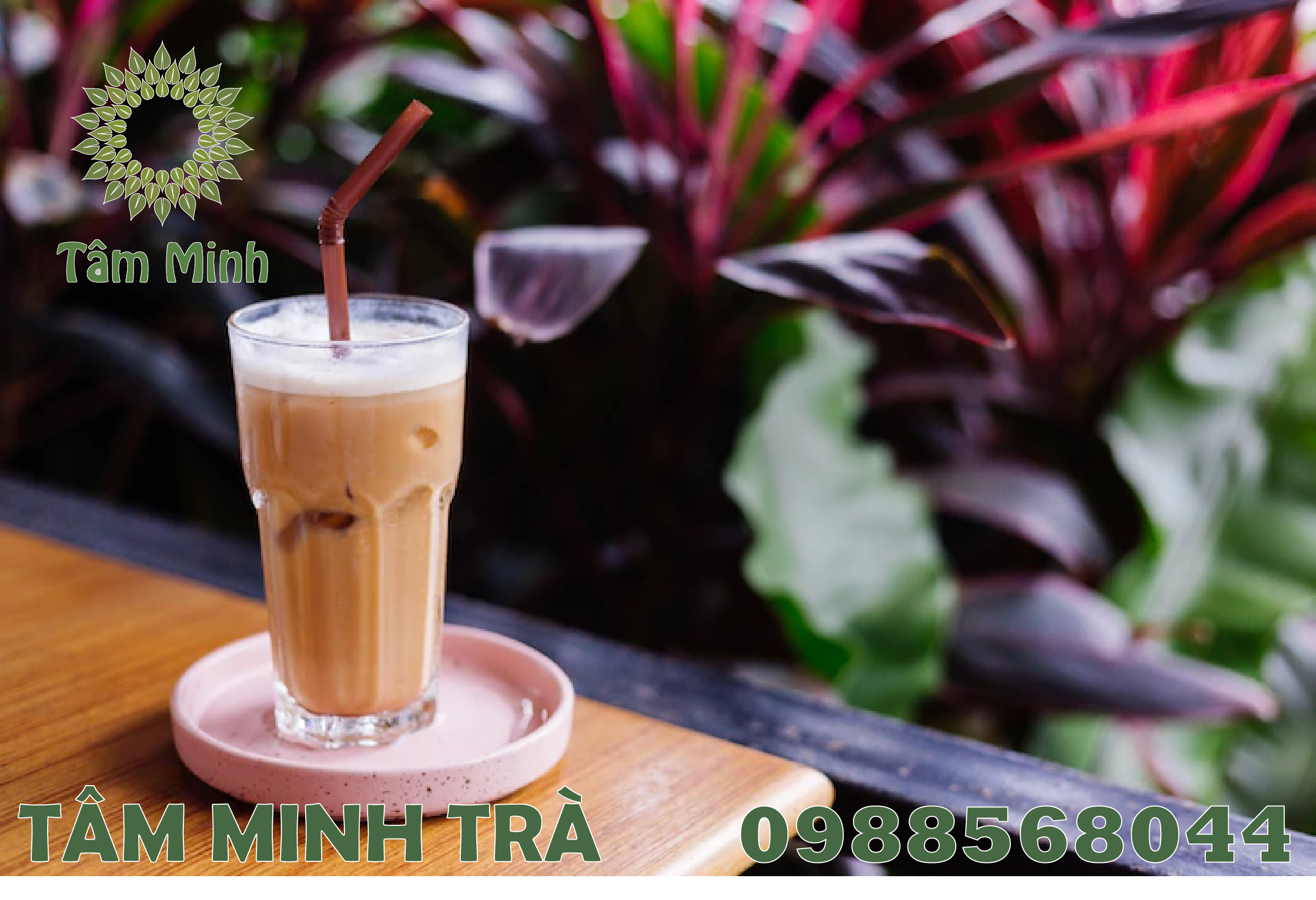 TRÀ XANH THÁI NGUYÊN CÓ LÀM ĐƯỢC TRÀ SỮA KHÔNG? CÁCH LÀM NHƯ THẾ NÀO?